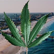 JaxBudForSale904's LeafedOut Profile