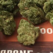 CaliforniaBeachBuded318's LeafedOut Profile