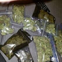 Morgueish's LeafedOut Profile