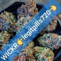 maxp34's LeafedOut Profile