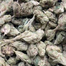 craigd's LeafedOut Profile