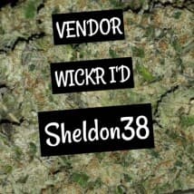 Cannabis100's LeafedOut Profile