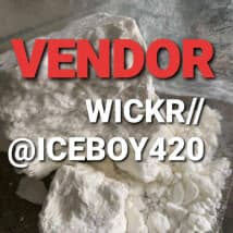 Thomsonbrad's LeafedOut Profile