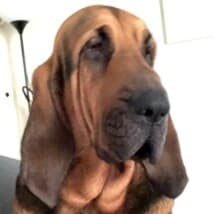 Caseyjones213's LeafedOut Profile