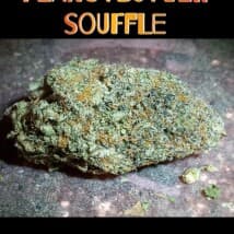 hammer250's LeafedOut Profile