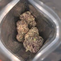 StickyIckyRTSU's LeafedOut Profile