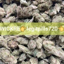 maxvis's LeafedOut Profile