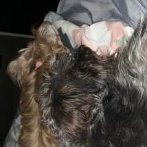 Koco1926's LeafedOut Profile