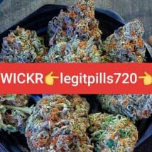 bjoter's LeafedOut Profile