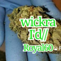 Hezas's LeafedOut Profile