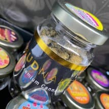 Dannydan's LeafedOut Profile