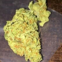 kraftmaest's LeafedOut Profile