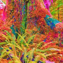 TripAdvisorr's LeafedOut Profile