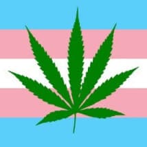 3LuckyClover's LeafedOut Profile