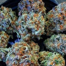 budsman89's LeafedOut Profile