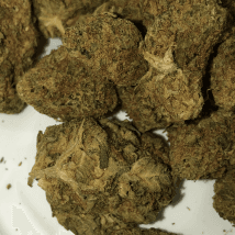 weedsmokkerr420's LeafedOut Profile