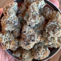 grey47's LeafedOut Profile