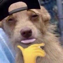 VibeRater's LeafedOut Profile