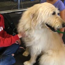 Junglesfury's LeafedOut Profile