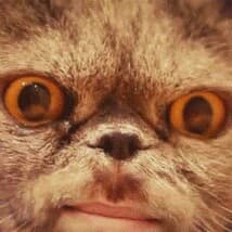 WhisperDan's LeafedOut Profile