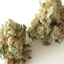 chemniac19's LeafedOut Profile