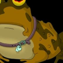 Zeit77's LeafedOut Profile