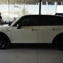 meka_252-495-0235's LeafedOut Profile