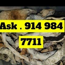 celestine's LeafedOut Profile