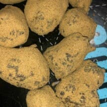 ganja-plug420pills's LeafedOut Profile