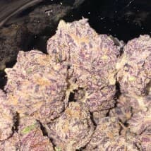 CurlyG1974's LeafedOut Profile