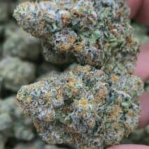 James240's LeafedOut Profile