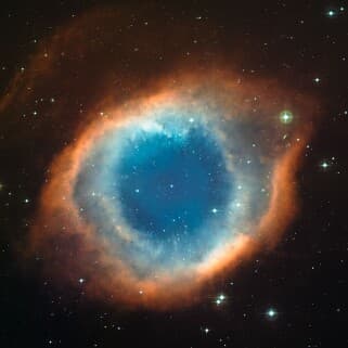 SuperPsilo's LeafedOut Profile