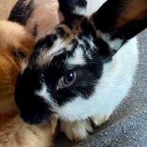 Dan_Theman's LeafedOut Profile