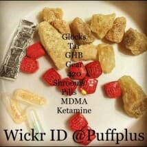 showbag's LeafedOut Profile