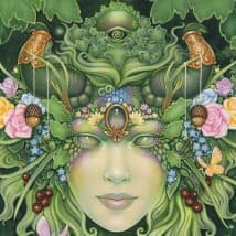 SpaceCaked's LeafedOut Profile