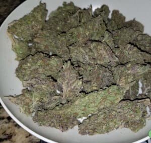 gwicked15's LeafedOut Profile