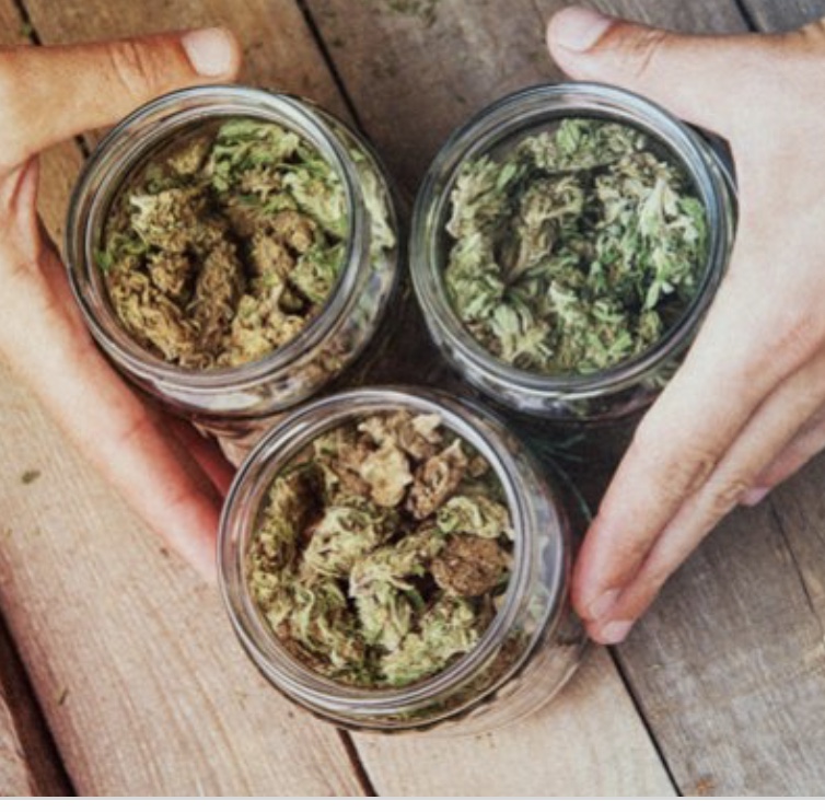 Three Grades of Dispensary quality Flower Cannabis Menu by SelectCo