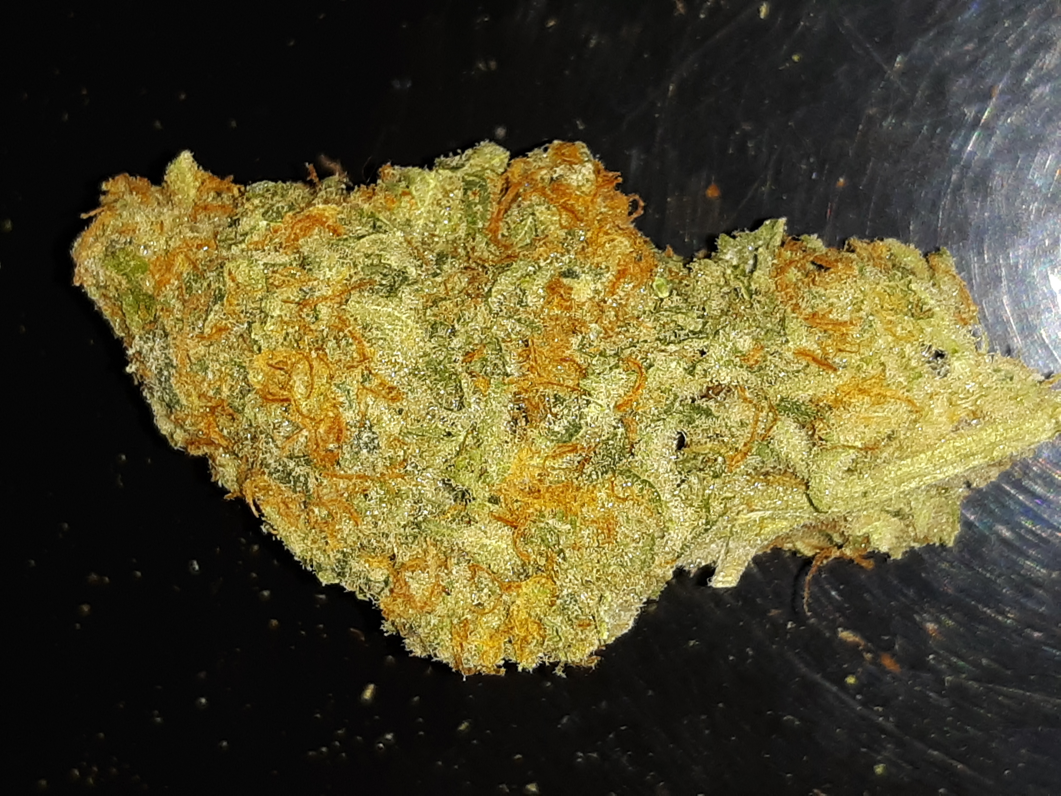 Kush Cookies Allbud 27 - mnla2wv