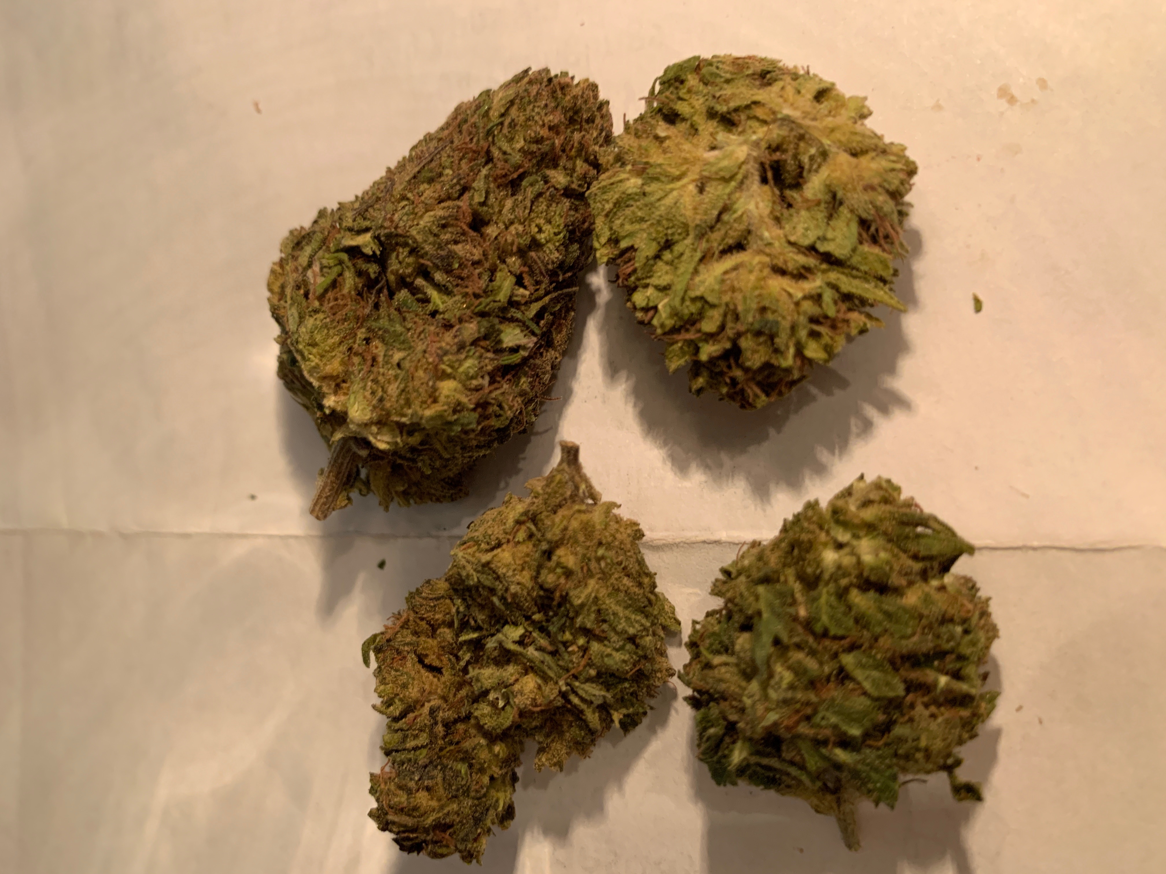 Papaya premium indoor Cannabis Menu by Mr_pacman Cannabis in