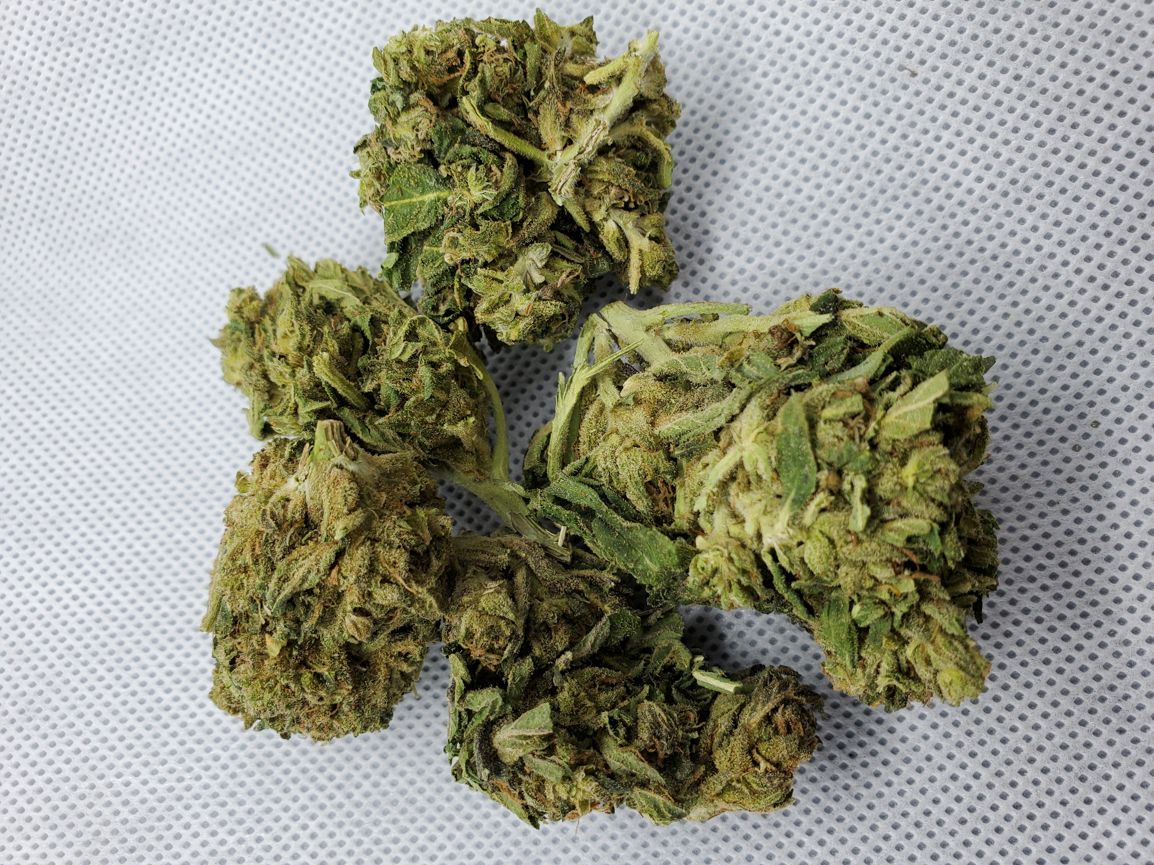 Black Cherry OG Cannabis Menu by 420Beans Cannabis in Attleboro