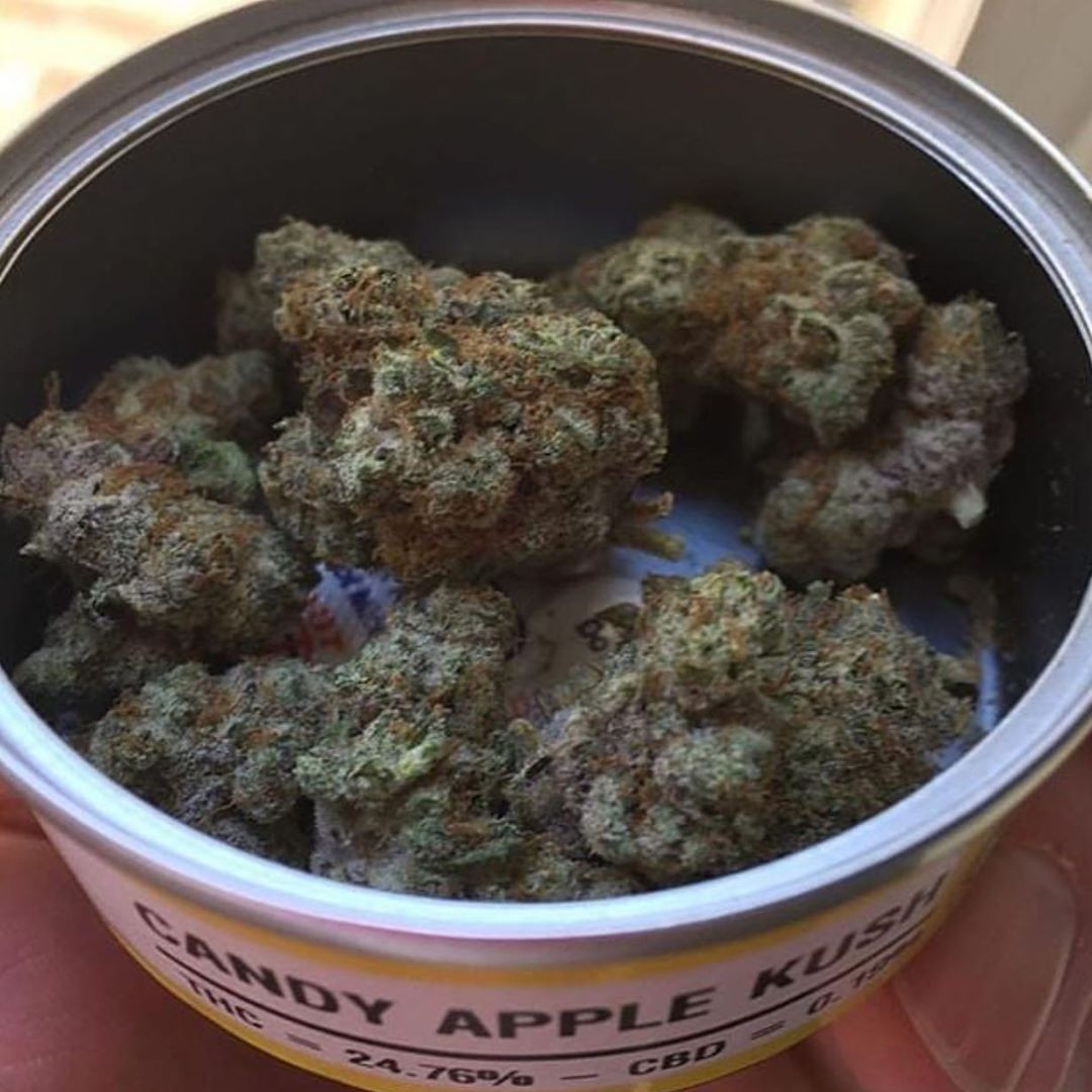 CANDY APPLE KUSH Cannabis Menu by Greenweedfarm Cannabis in