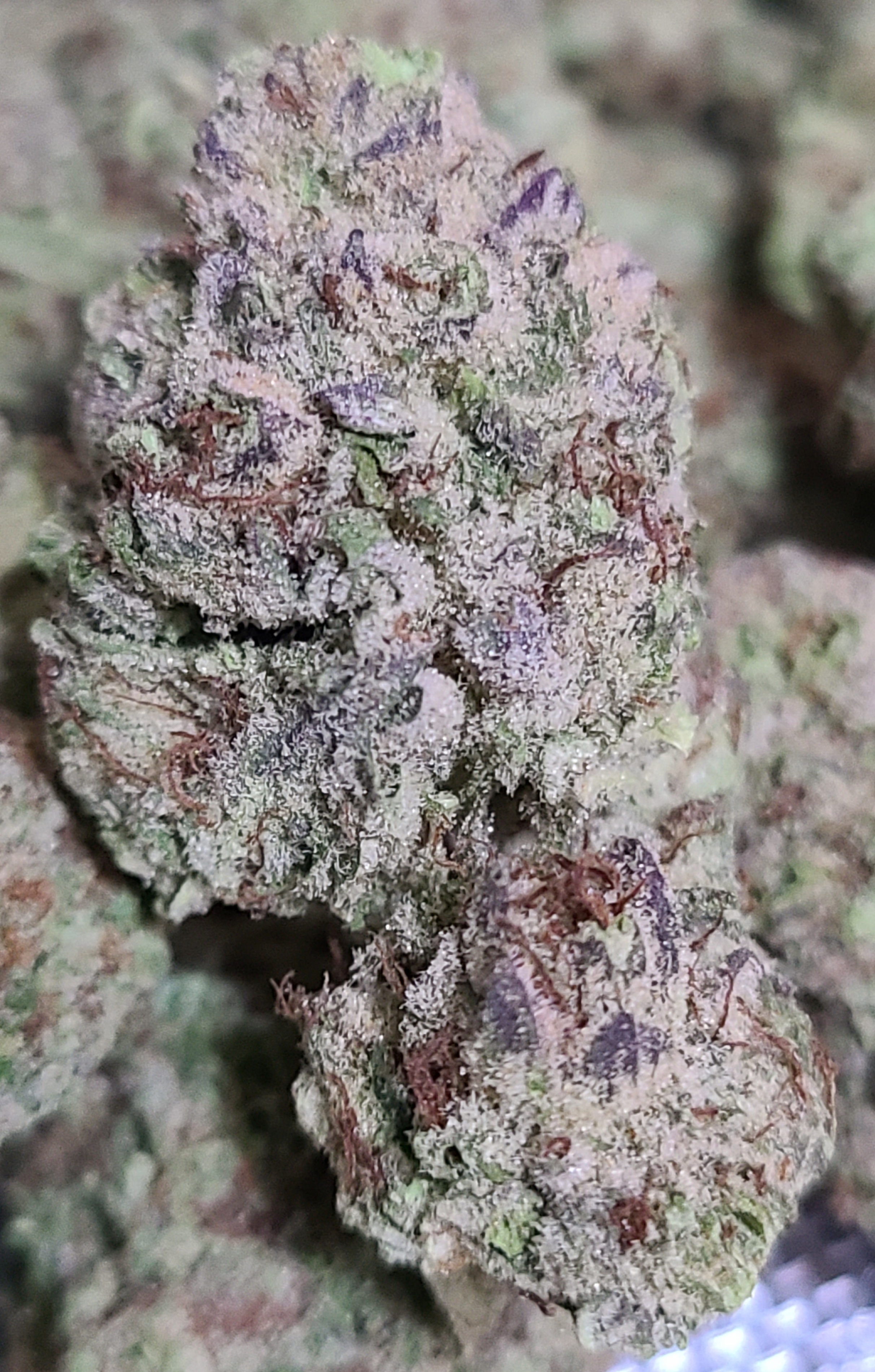 Purple Punch(Popcorn Nugs) - Cannabis Menu by WRPCᴏɴɴᴇᴄᴛ - Cannabis in ...