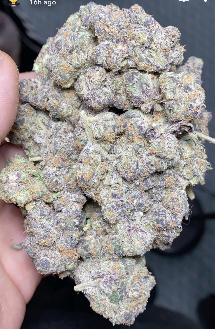 Apple Fritter strain - Buy Apple Fritter Strain Online - cali plug 420