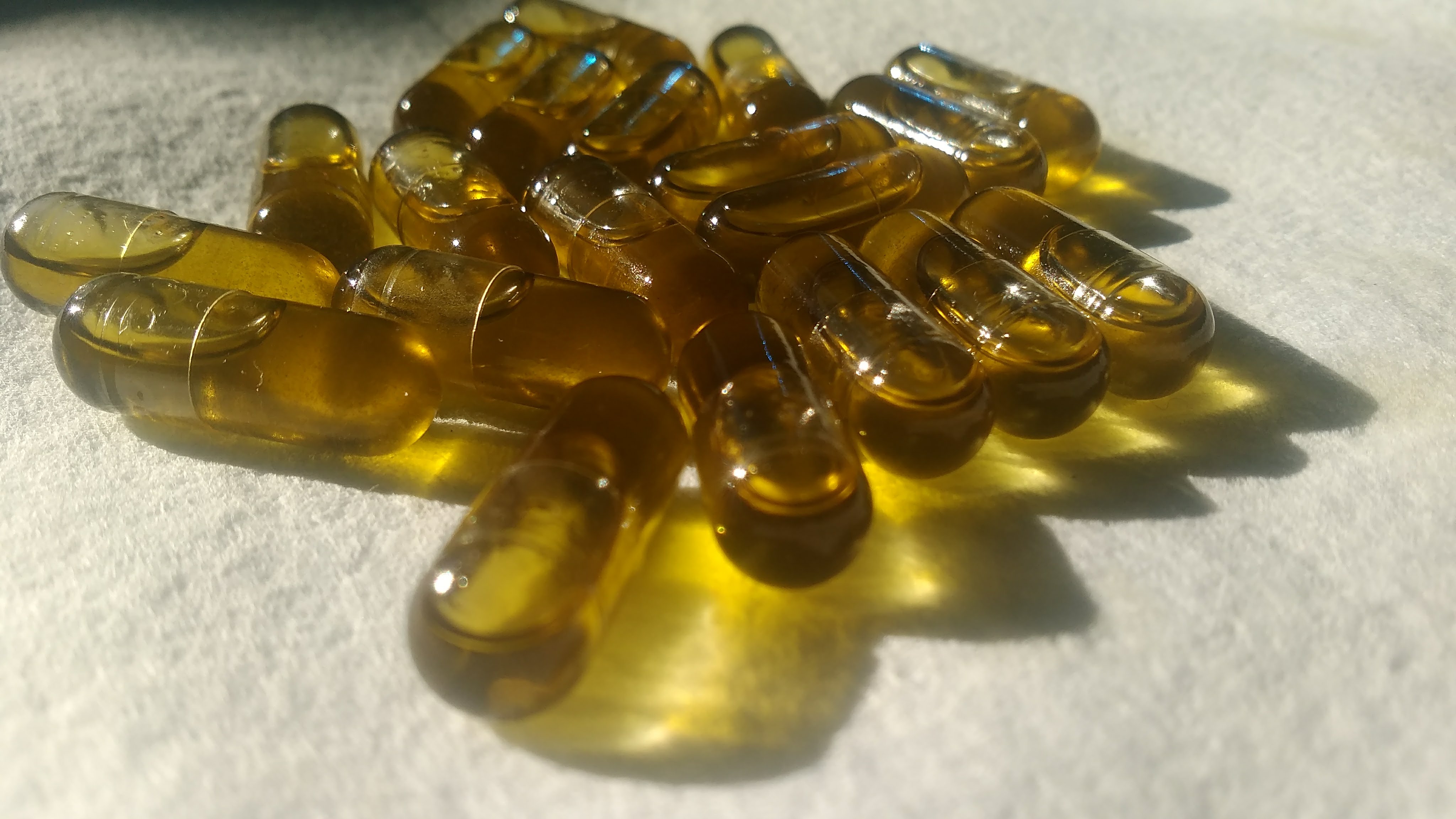 Infused Coconut Oil Capsules Cannabis Menu by Flying Fat Cat