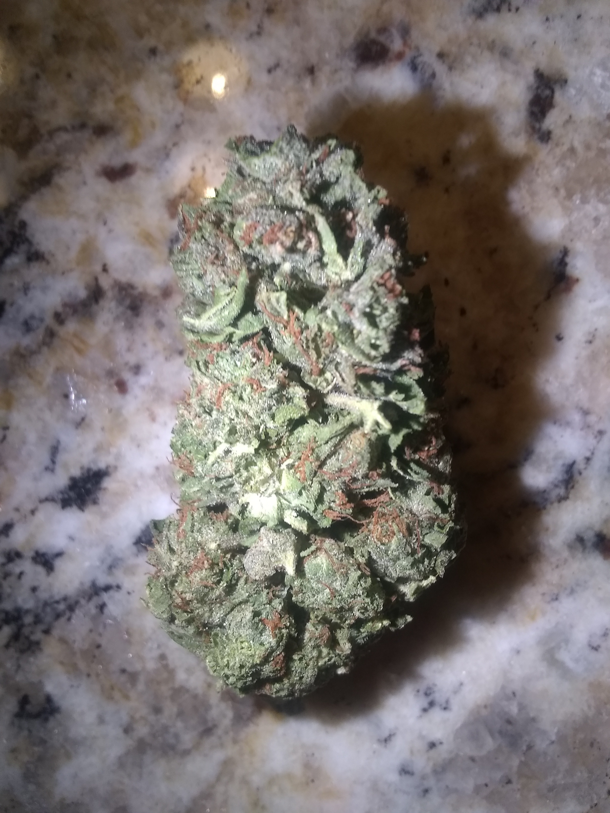 Blue Zkittlez Cannabis Menu by ItsANice Cannabis in Rockaway, New