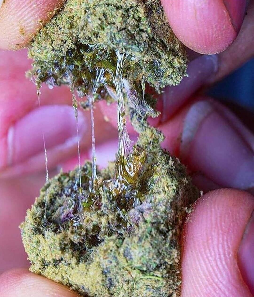 Weed Purple Haze And Moon Rocks Cannabis Menu By Danyewayn123 Cannabis In Melbourne Vic Leafedout Com