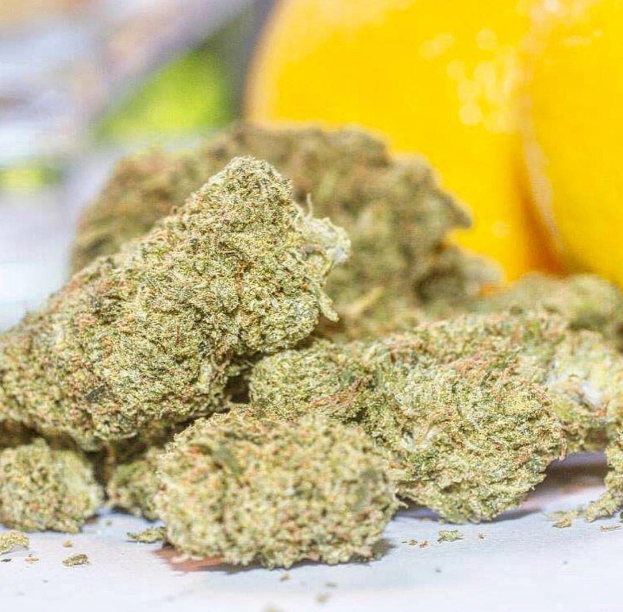 Lemon Kush Exotic Strain Cannabis Menu by Rare Harvest Delivery