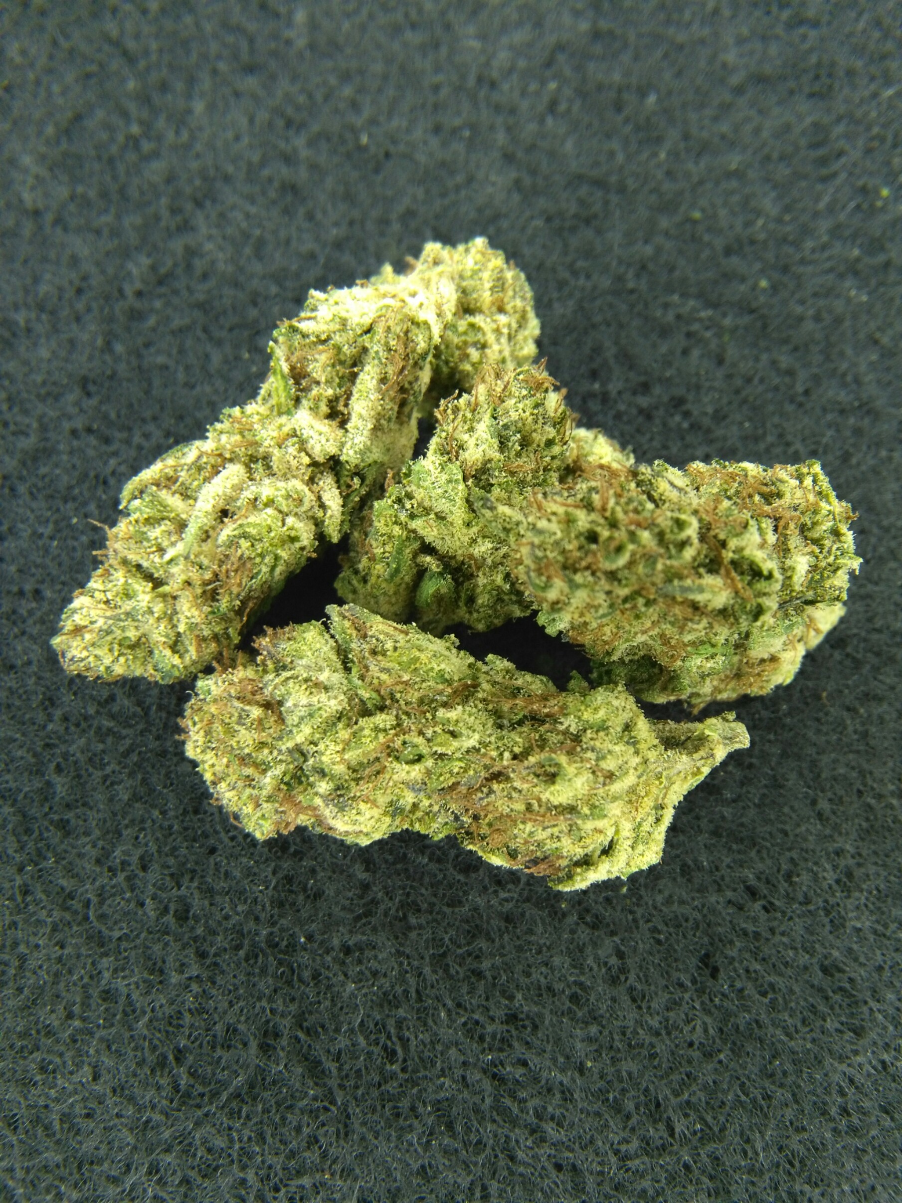 Chocolate Hashberry Cannabis Menu by jumpinjackflash212 Cannabis in