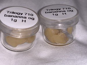 Trilogy 710 Premium Live Rosin 2g: Nectarine – Sky Club NYC