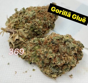 canadian gorilla glue weed